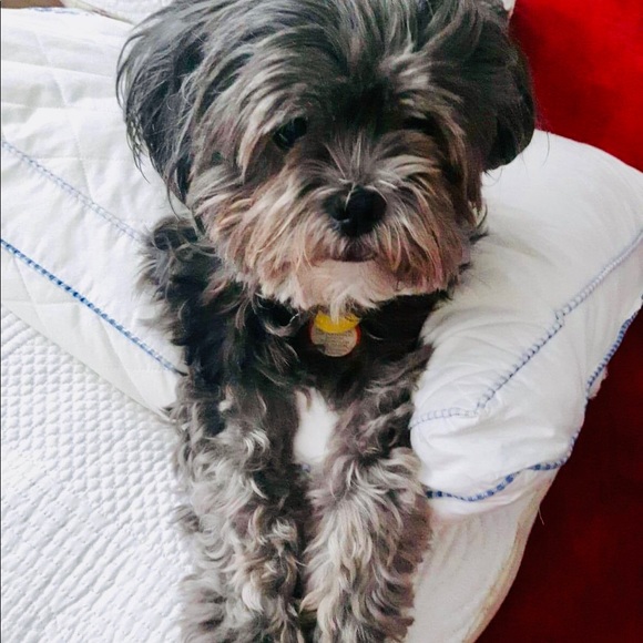 Meet your Posher Ella - Picture 11 of 14